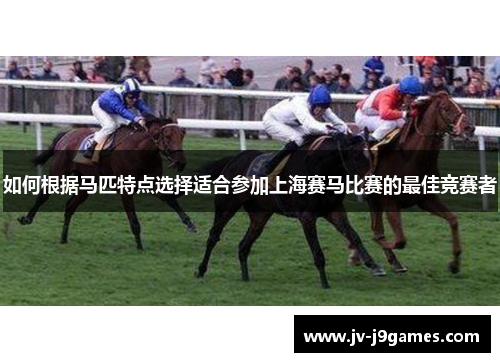如何根据马匹特点选择适合参加上海赛马比赛的最佳竞赛者